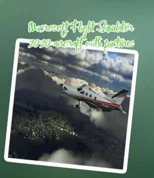 Flight simulator airplanes