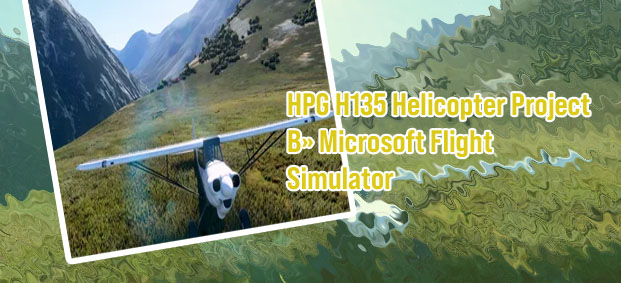 Planes flight simulator 2020