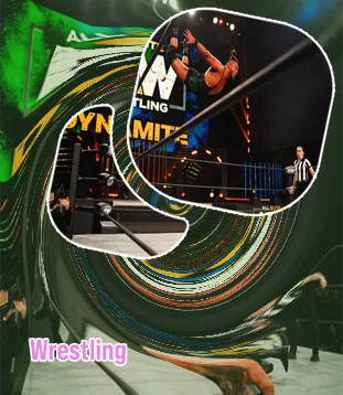 Wrestle game